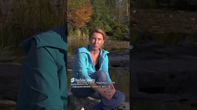 Как оформить пруд на участке. смотреть онлайн