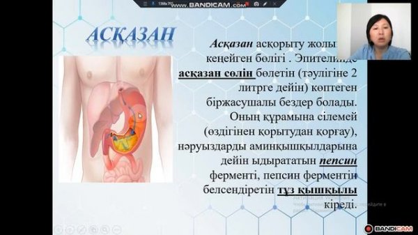 9 сынып. Ыдырау үдерістері