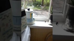 Как бороться со шмелями