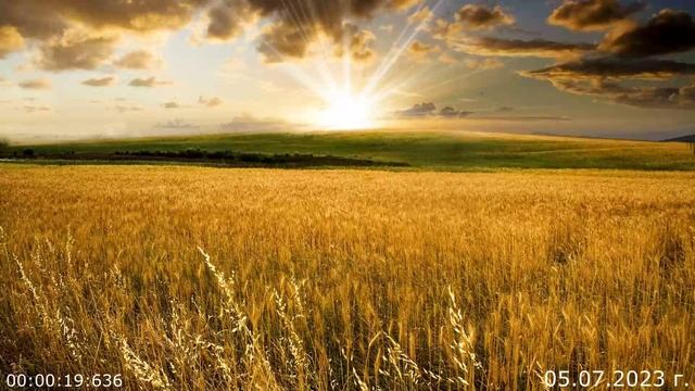 739 МРТ 05.06.2023 г смотреть онлайн