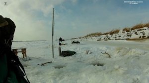 Зимняя рыбалка на щуку 15.12.2024