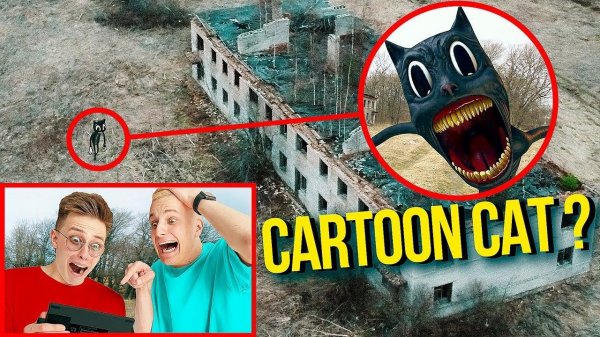 ВЫ НЕ ПОВЕРИТЕ МОЙ ДРОН СНЯЛ РЕАЛЬНОГО CARTOON CAT ! Серия 1