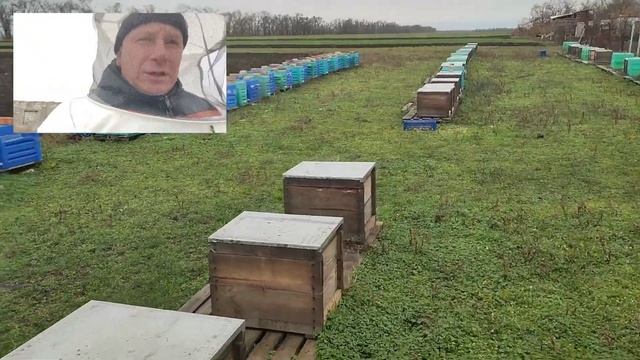 ✅ Контроль початку зимівлі смотреть онлайн