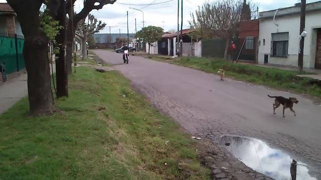 chano probando el cr 125 смотреть онлайн