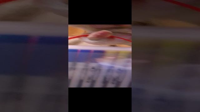 😡👈👉🤬👈👉👺👈👉👹 смотреть онлайн