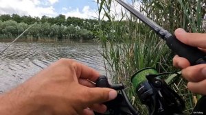 Проверил на флэт-фидер, крупных тут много, поклёвки карася на фидерную снасть