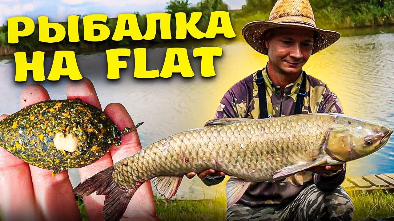 Крупный амур на ФЛЭТ-ФИДЕР, леска трещит, удочка в дугу, хороший улов и клёв Flat Feeder смотреть онлайн
