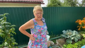 Ржака  / Как вытащить легко занозу / По способу Любаньки  22 августа 2022 г.