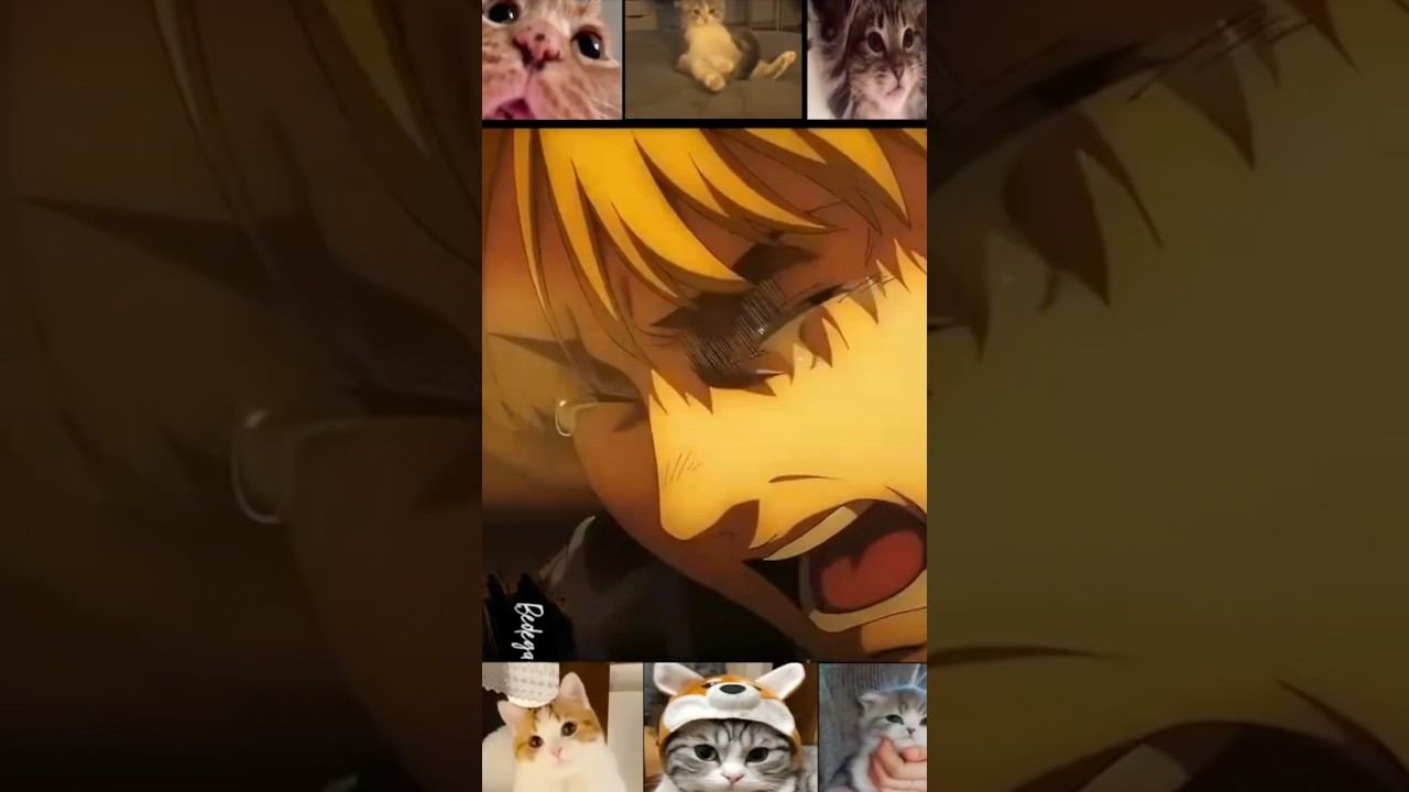 #anime #атакатитанов #atackontitans #эренйегер #микаса #аккерман #demonslayer #клинок #левиаккерман смотреть онлайн