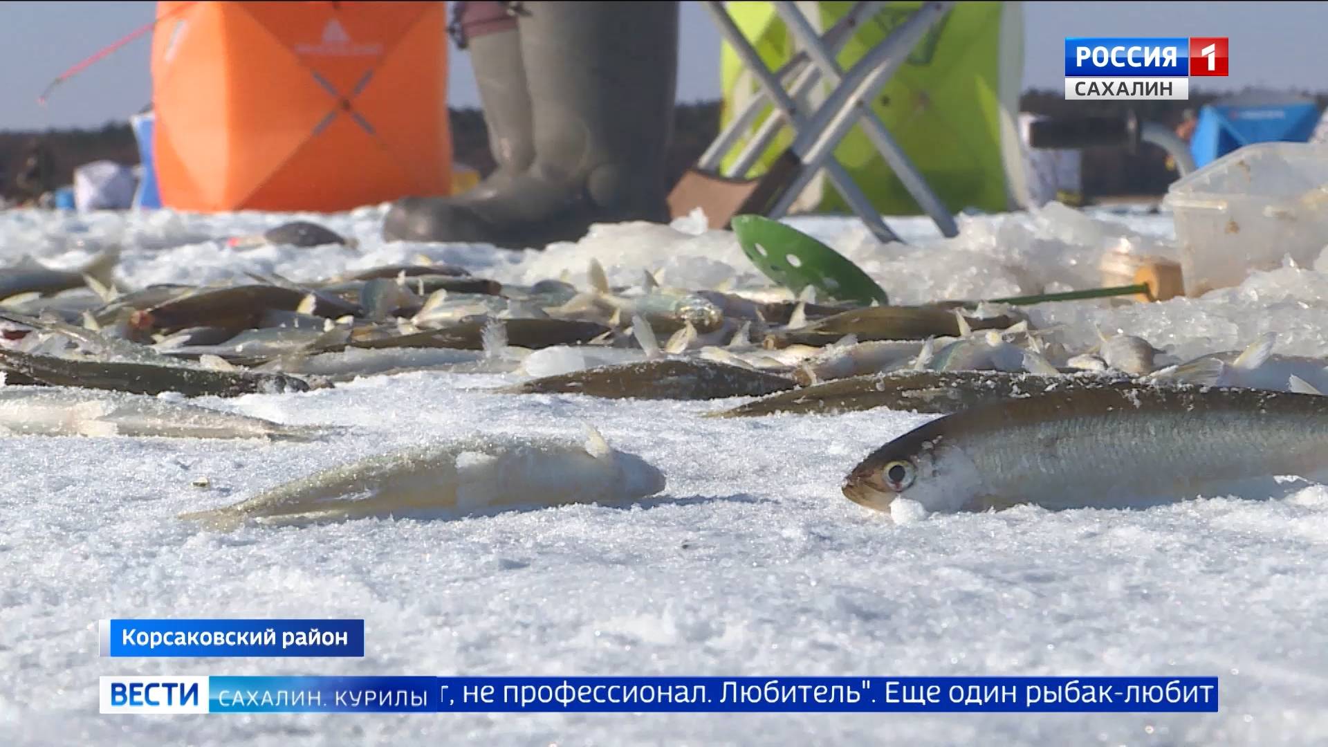 "Вести. Сахалин. Курилы". 16 декабря 2024 года смотреть онлайн