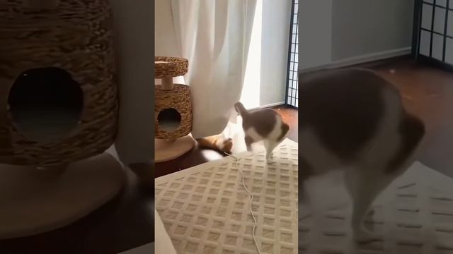 битва с невидимыми врагами смотреть онлайн