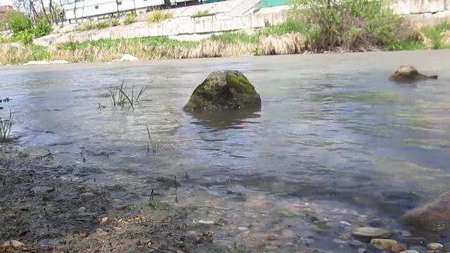 Речная заводь смотреть онлайн