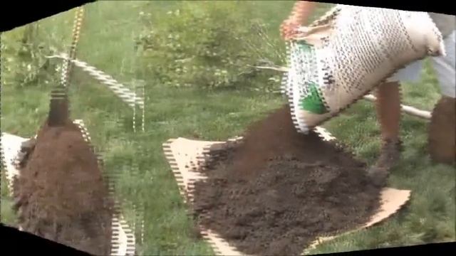 How to Plant a Tree смотреть онлайн