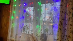 У нас тоже Новый год  / Ловлю мышей по ночам  22 декабря 2020 г.