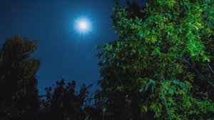 «ЛУННАЯ НОЧЬ»