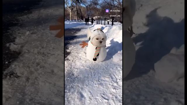 я снежный снеговик смотреть онлайн