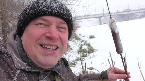 Я на берегу, я увидел камыш в декабре. У меня камыш