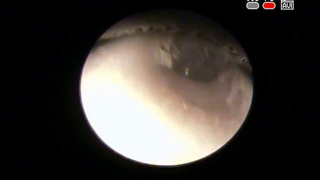 201701240646 2442 смотреть онлайн