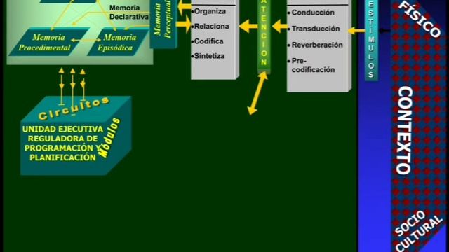 Neurocognicíon Humana 2 смотреть онлайн