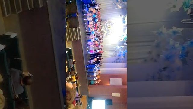 Жизнь кошки(9) смотреть онлайн