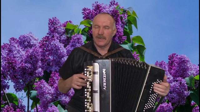 Сергей Понкратов Сирень смотреть онлайн