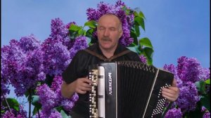 Сергей Понкратов Сирень