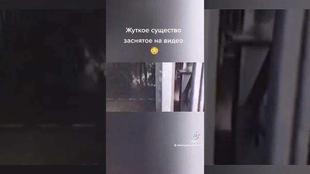 У МЕНЯ ВОТ ЭТИ ВИДЕО ПОЧТИ ВСЕГДА ПОЯВЛЯЮТСЯ
