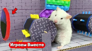 Играем вместе с ХОМЯКОМ ! Выбираемся из сложного лабиринта ! Видео для детей 👍
