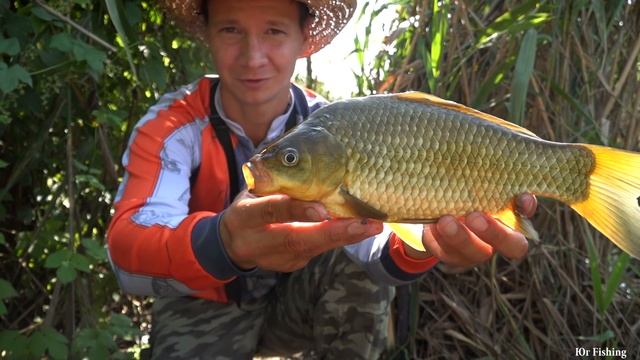 РЫБАЛКА НА УДОЧКУ, ОСЕННИЙ КАРАСЬ смотреть онлайн