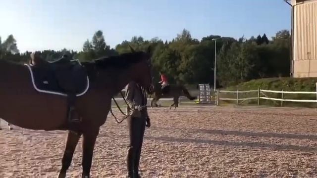 Ester micketräning med Anna смотреть онлайн