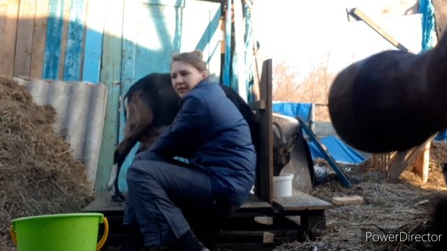 Ответы на ваши вопросы/Просьба от Варвары))) смотреть онлайн