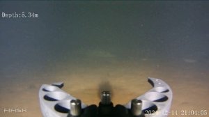 Курчатовский залив, в подпоре.  14.12.2024
QYSEA FIFISH v6s Expert