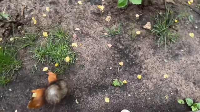 БОЛЬШОЙ ВЛОГ🤍☕️✨ ремонт продолжается, фасад дома готов, шоппинг смотреть онлайн