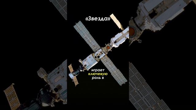 МКС - самый крупный космический аппарат в истории человечества. Построена 15 странами.