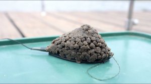 Рыбалка на сазана и кормушка флэт фидер