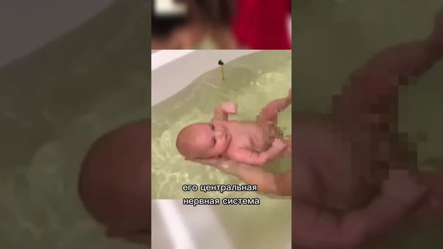Плавательный рефлекс смотреть онлайн