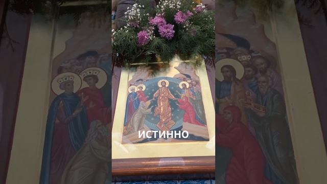 Источник бессмертия. Слава Богу за всё!..☀️ смотреть онлайн