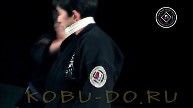 Дети Кобудо 2011. Kobudo Children. New