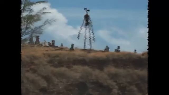 Звуки,транслируемые сиреноголовым смотреть онлайн