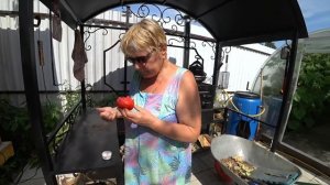 Лес огурцов / Странный, но любопытный рецепт / Пробовальщица / Котёнок 19 июля 2021 г.