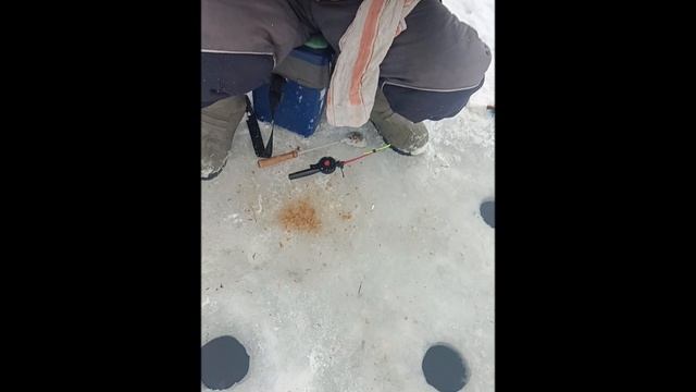 VID_20241217_130222 смотреть онлайн