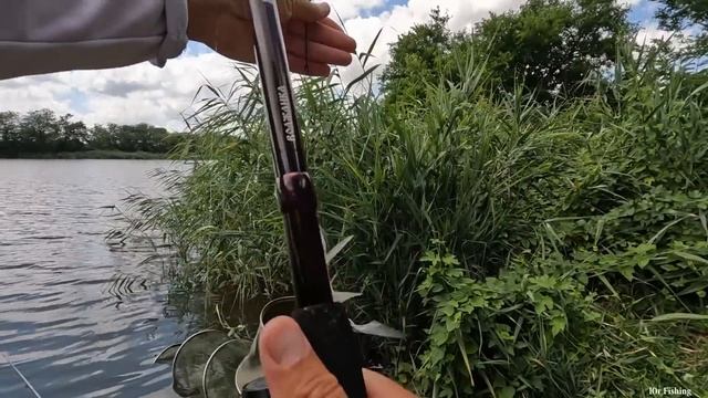 Рыбалка на ФЛЭТ ФИДЕР ловля карася, леща, хороший клёв и улов на дикой реке, природа и отдых смотреть онлайн