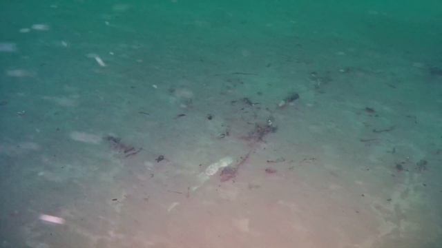 Finding and retrieving downrigger stuff from the depth. (ROV) смотреть онлайн