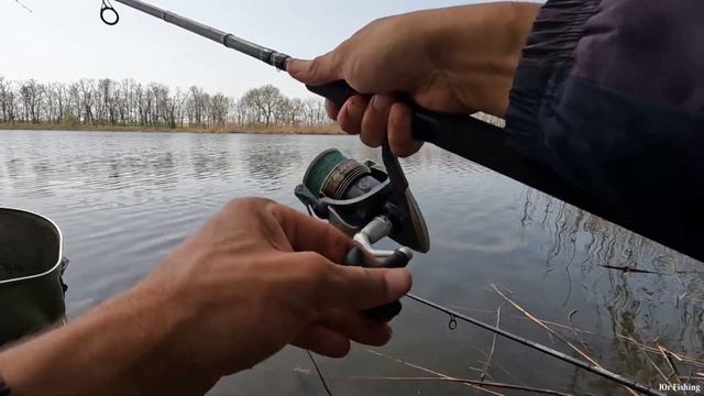 КАРАСЬ КИШИТ НА ДИКАРЕ, РЫБАЛКА 2022 ВЕСНОЙ, рыболовный день, клёв рыбы смотреть онлайн