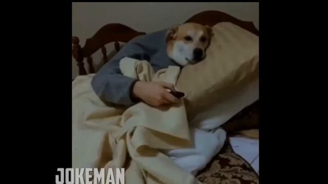 СМЕШНОЙ ТЕСТ НА ПСИХИКУ смотреть онлайн