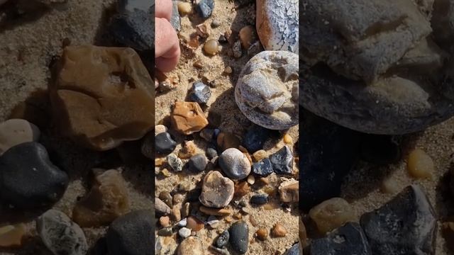 Norfolk Belemnite смотреть онлайн