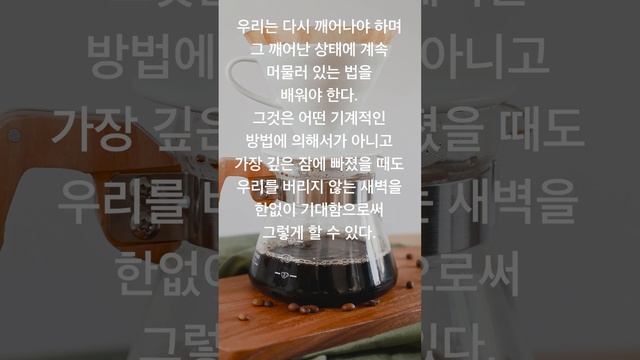 명언 데일리 드립 #99 смотреть онлайн