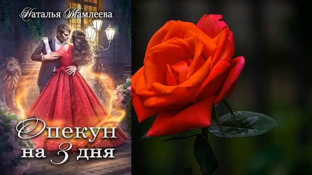 Опекун на 3 дня "Любовное фэнтези" (Наталья Мамлеева) Аудиокнига смотреть онлайн