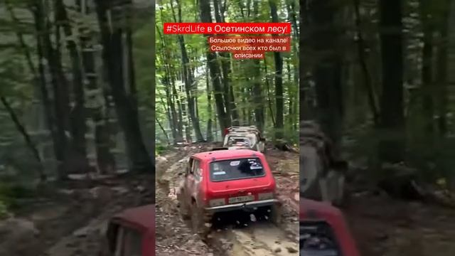 #SKrdLife фрагмент из большого выпуска. смотреть онлайн