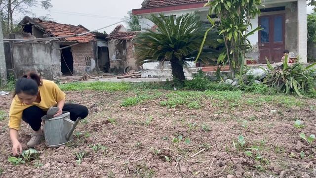 The CEO Tuan Has Been Deceived And Lost All His Money, Facing The Risk Of Bankruptcy.